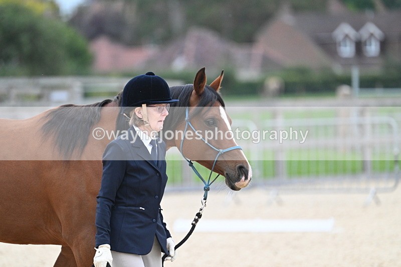 WJ7_1881 - Class 1 & Champs