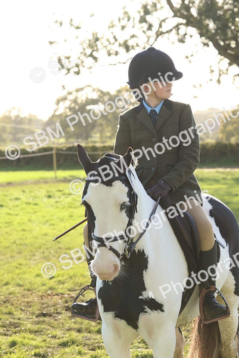 SBM_52651 - S13 - Pony Club Pony