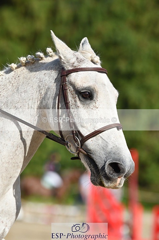 230824-170008-06234 - Round 1 Assisted 16.20 to End