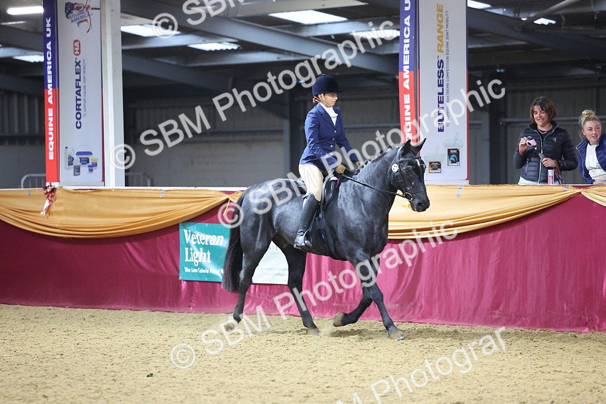 SBM_19136 - Class I Competition/ Riding Club Champ