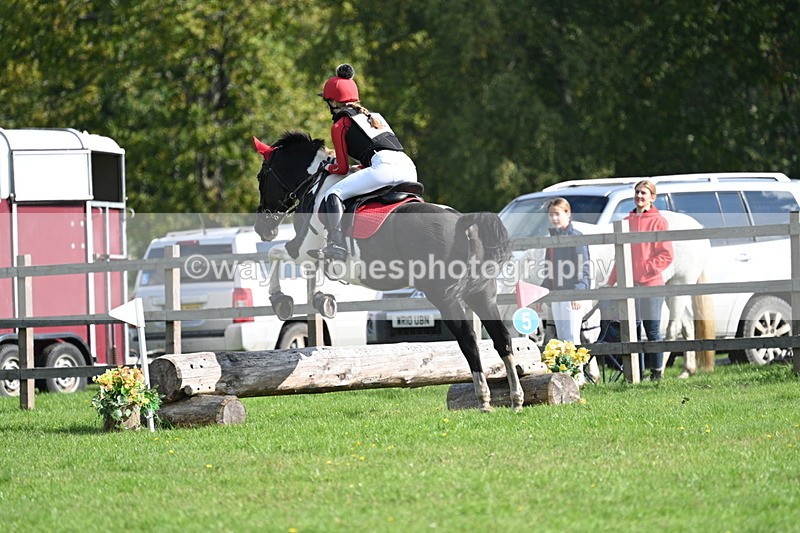 WJ7_4908 - 60cm Time 11:11 to 11:19