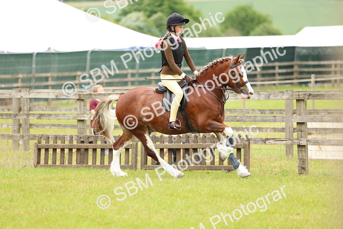 SBM_10364 - Class 44-45 - LIHS BSPS Open Nursery and Cradle Stakes