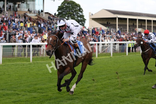 yr10062022r6-15 - Race 6 4.40pm No 1 York by GuestHouse Hotels British EBF Novice Fillies Stakes