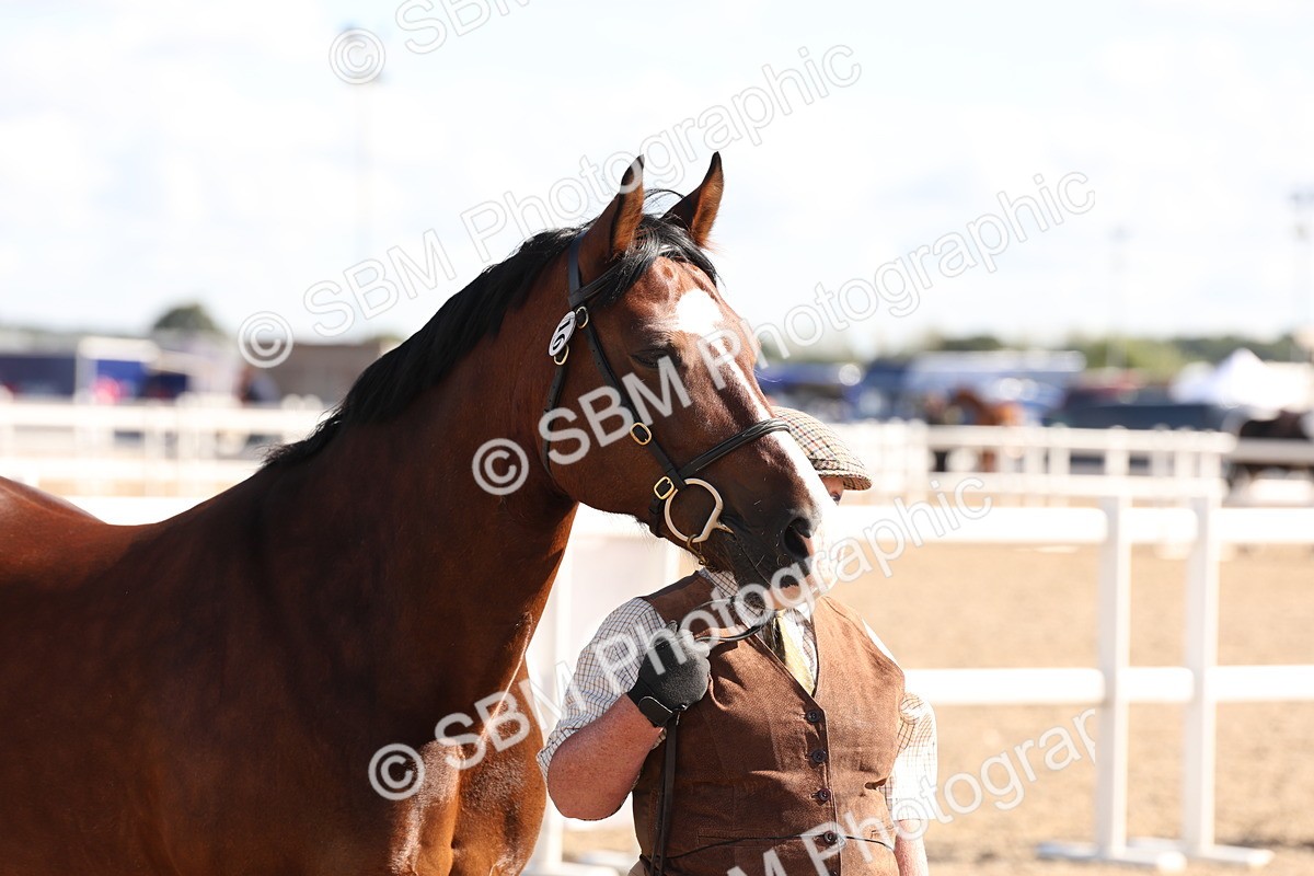 SBM_14108 - Class 207 - IH M&M