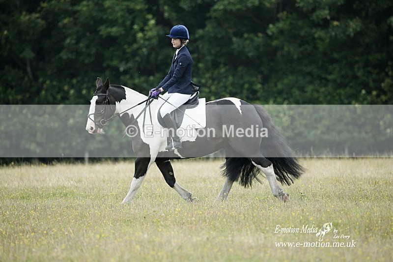 BVRC 030721 22 - Bourne Valley Riding Club Dressage 03/07/21