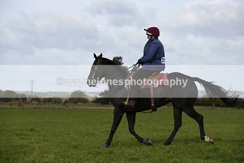 _DSC6446 - Time 11:23 to 12:05