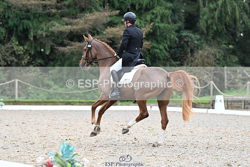 231019-145944-04341 - 059-MINNIE.MANOEUVREZ-Mark.Ford-DR