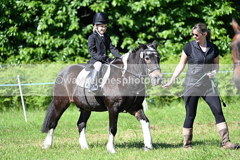 WJ7_0468 - Class 8 First Rally Pony