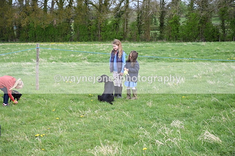 WJ6_8029 - Class 2 Best Pedigree