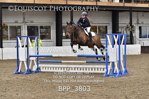 BPP_3803 - FRI CLASS 21 BR NOVICE/90CM