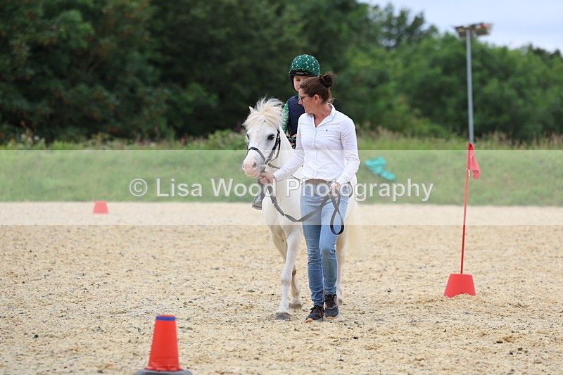 3E7A9341 - Walk trot run