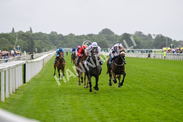 130724-Race 4-Alsakib-7453 - Race 4 3.45pm John Smith's Silver Cup Stakes