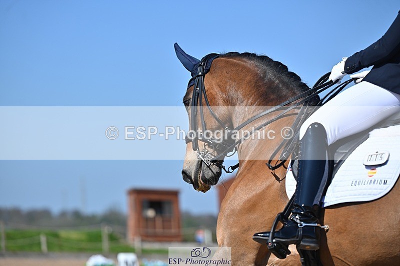 250405-105903-10070 - 115-Isla.Sully-Vagabond.De.Massa