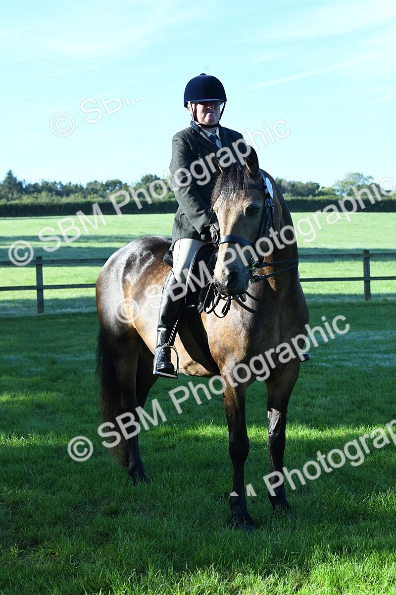 SBM_34054 - S16 - Condition & Turnout - Ridden