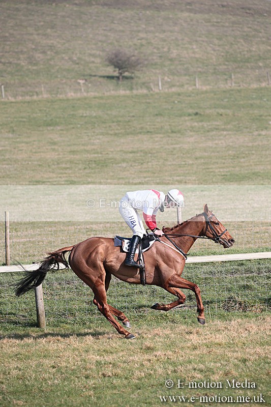 PtP 230219 258 - Vine & Craven Point-To-Point - Barbury 23/02/19