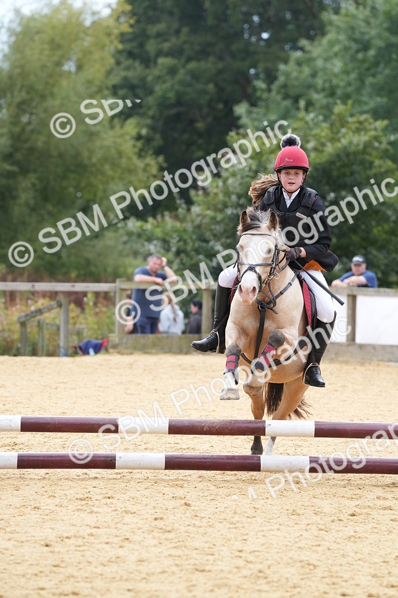 SBM_70713 - J3 - Mini Tour Junior Pony 40cm Championship