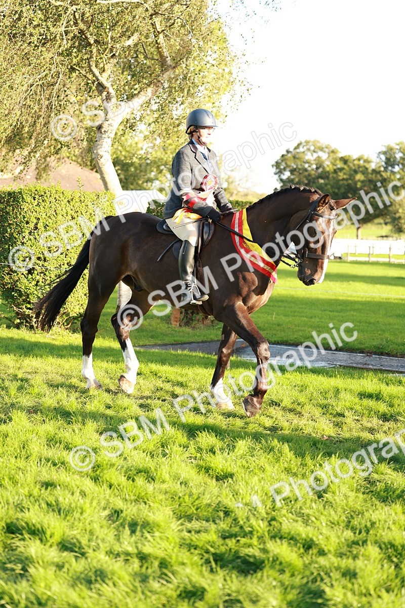SBM_29346 - Novice & newcomer Supreme Championship
