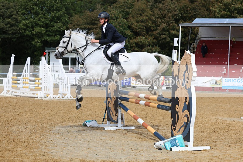 3E7A9200 - Class 9: Senior British Novice/90cm open
