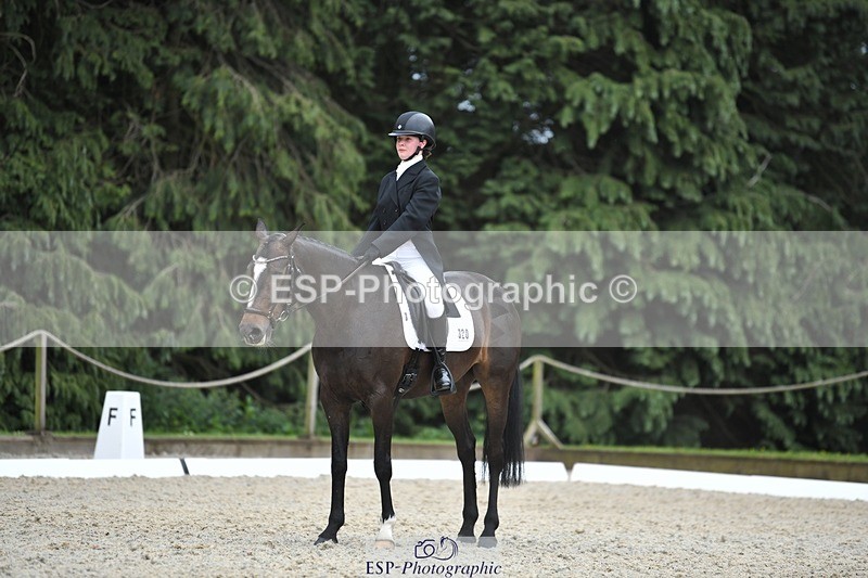 230525-142346-03139 - 320-CAVALIER_GUNFIRE-Tabitha_Baker-WEDTrotUp+DR