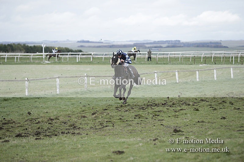 PtP 150320 0698 - New Forest Point-to-Point Larkhill 15/03/20