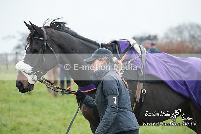 PtP 031223 305 - Wheatland Hunt PtP Chaddesley Races 03/12/23