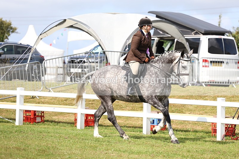 3E7A9238 - Class 3: Rising Star S/L Hunter