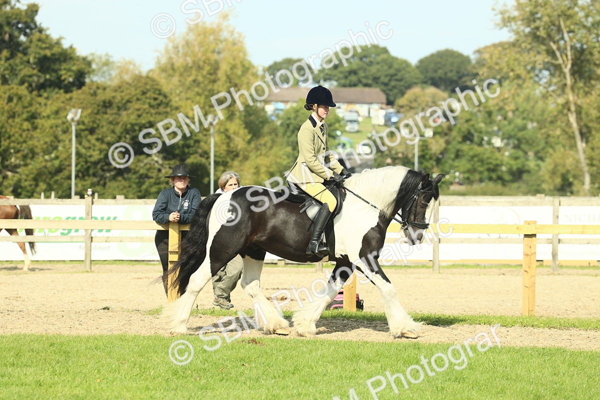 SBM_67591 - S56 - Coloured Pony Ridden