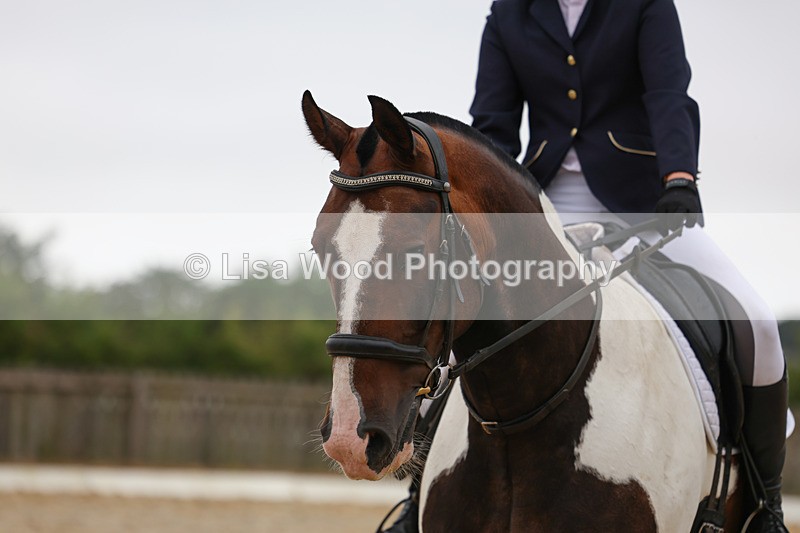 3E7A7946 - Class 1: Intro 3 2024 section A