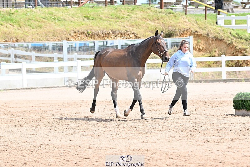 240717A-144926-02317 - Trot Up 2pm to 3pm - This folder is not in time order