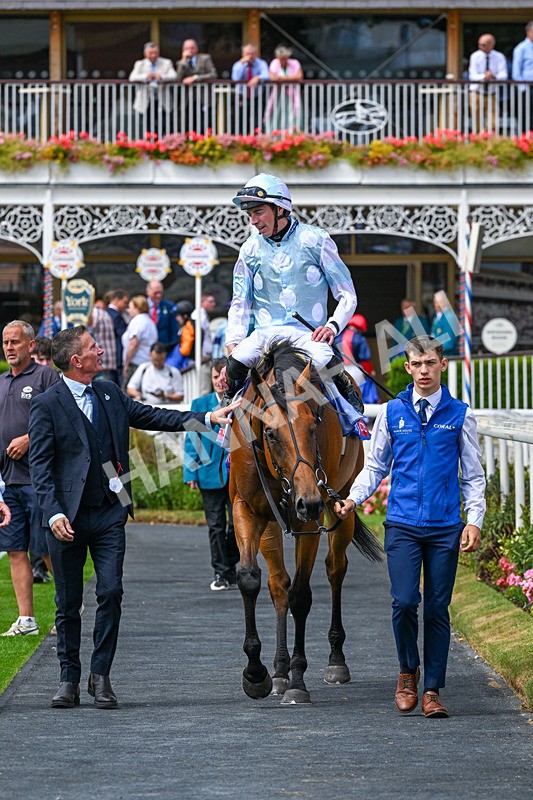 250726-Race 2-Stratusnine-0701 - Race 2 14.00pm Sky Bet Dash
