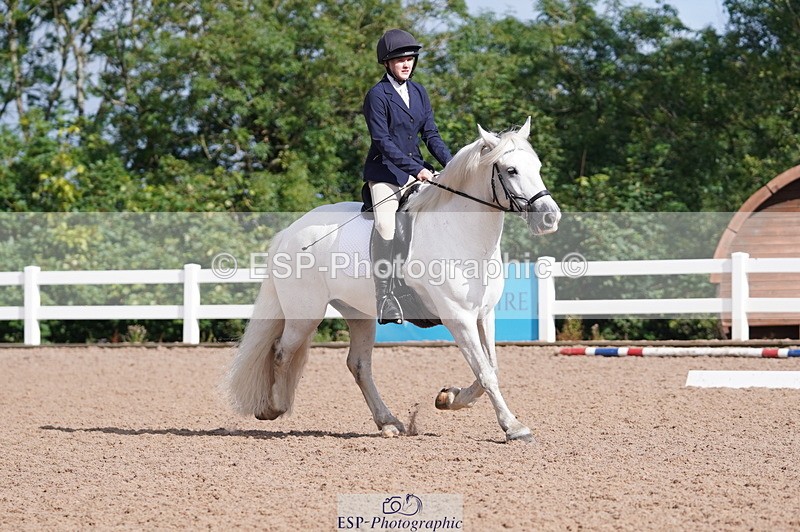 240809A-093156-00260 - Dressage Competition