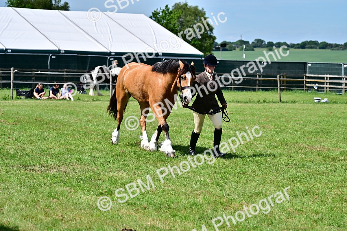 SBM_08073 - Class 61-62 - TSR  M&M Ridden Amateur of the Year