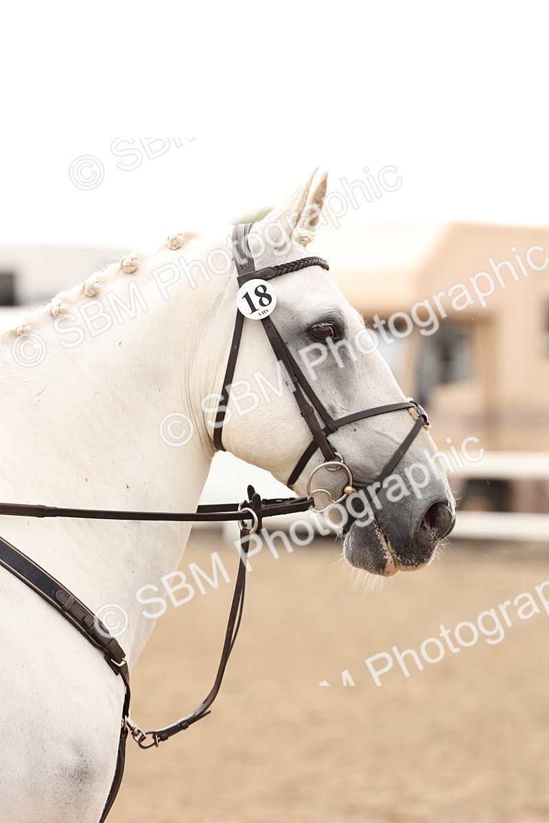 SBM_06765 - Class 58a -  Style & Performance - 70cm (15-19)