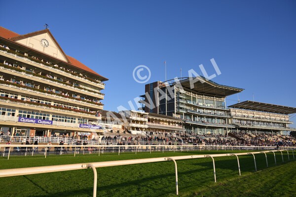 yr08102021r7-20 - Race 7 5.25pm The IRE Incentive, It Pays To Buy Irish Handicap