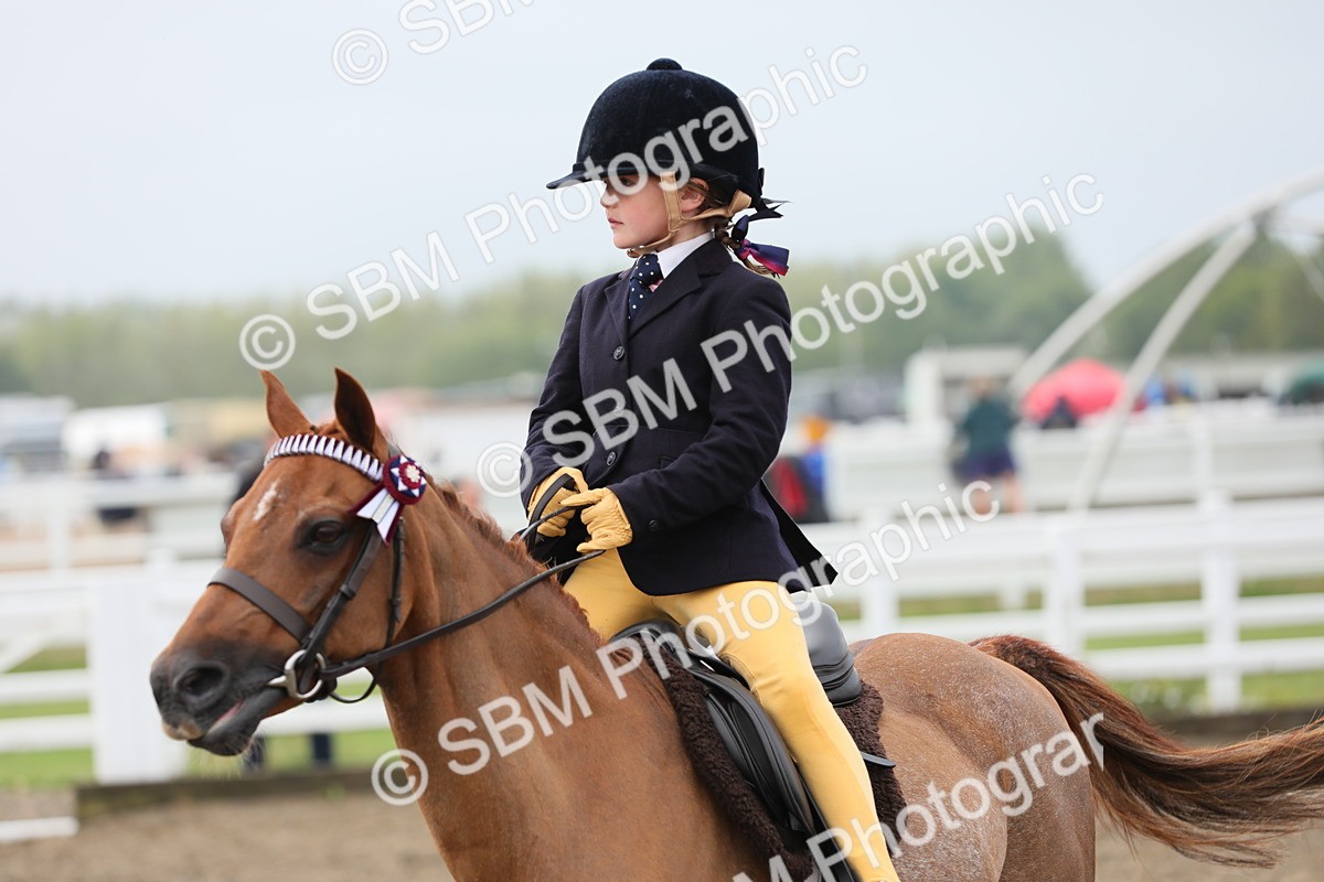 SBM_21788 - Class 806 - Young ridder 10 Yr & Under