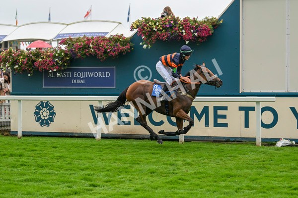 080924-Pony Race-8503 - Pony Race 1.00pm The Dragon (TV and Film) Studios Pony Race 148cm & Under