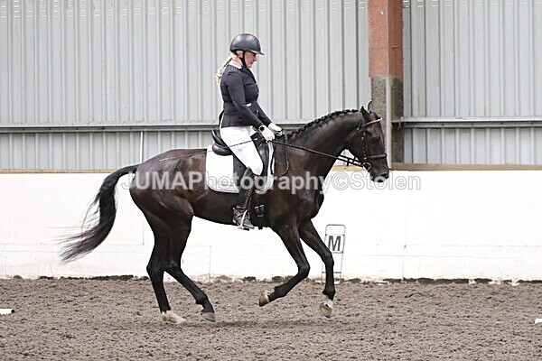 SIAL5337 - CAbin Dressage 5th july 2025
