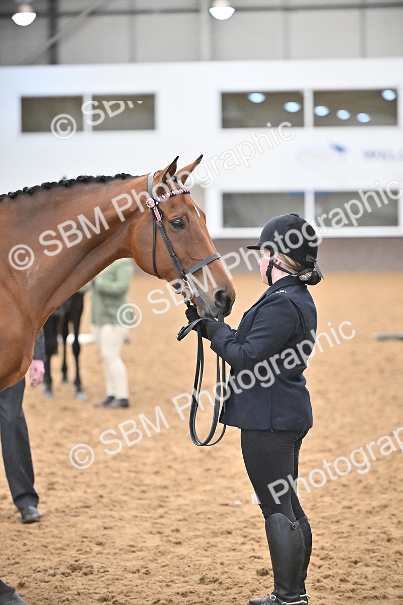 SBM_000149 - Class 6 - BSHA In Hand Racehorse to Show Horse