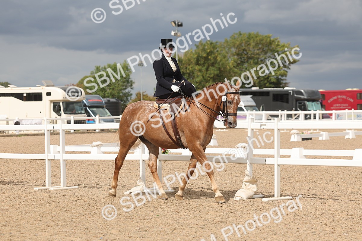 SBM_06340 - Class 22 - SSA - Equitation
