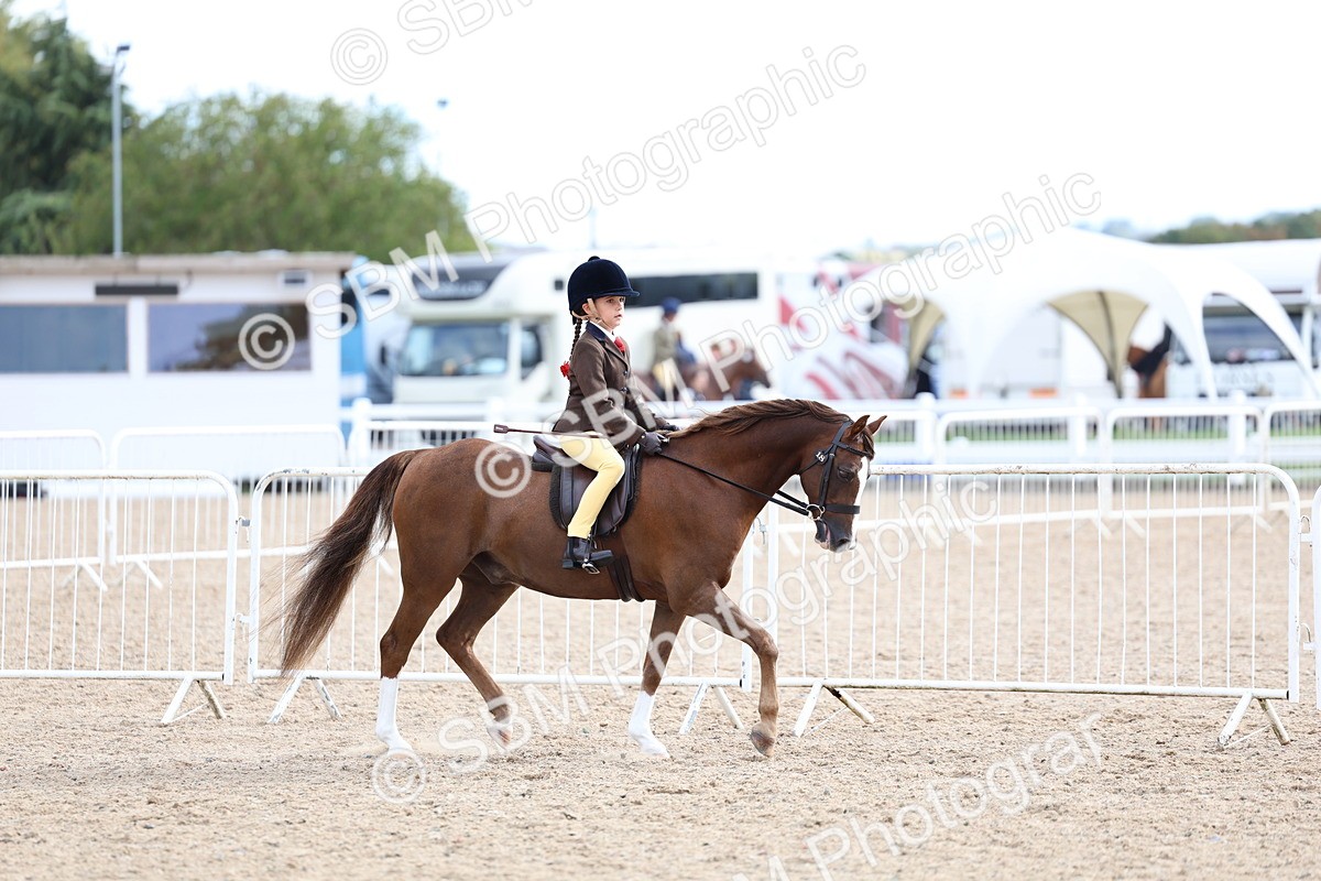 SBM_17499 - Class 316 - Best Pony - Rider Combination