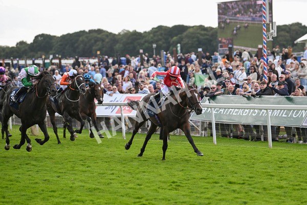 230824-Race 4-Bradsell-9408 - Race 4 3.35pm Coolmore Wootton Bassett Nunthorpe Stakes