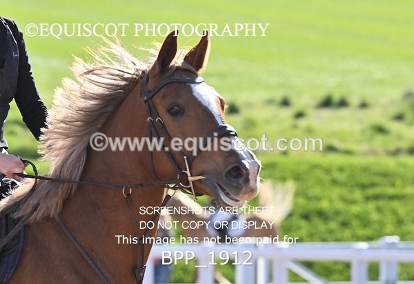 BPP_1912 - CLASS 2 - FRI - KBIS Club Senior 80cms