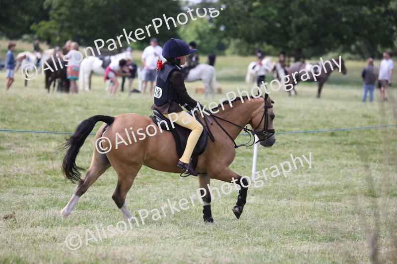 20260614-1913 - Class 21 - Novice Working Hunter Pony