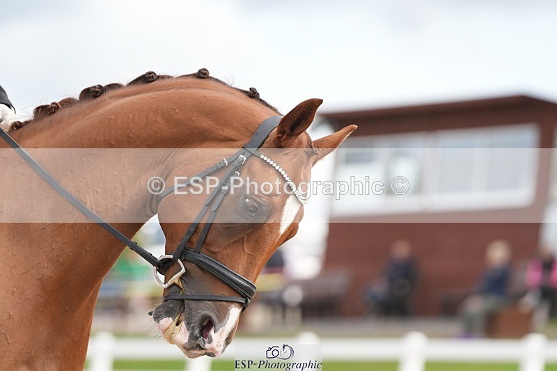 250906-112423-01625 - 007-Karen.DanceHevans.Sign.of.the.Times