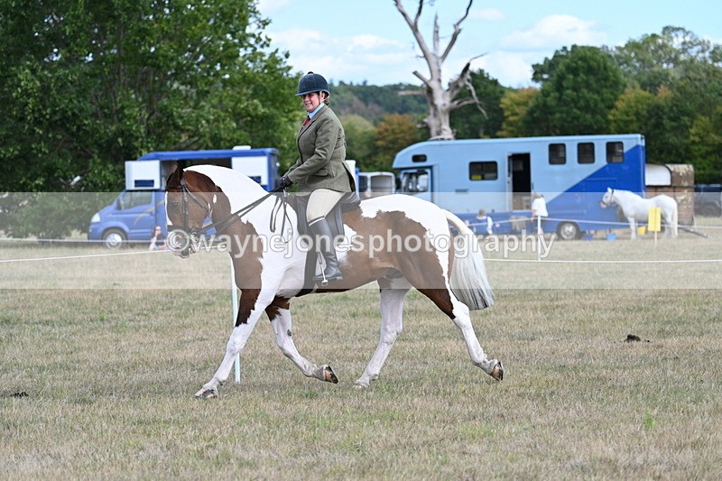 WJ7_6947 - Class 14 Ridden Coloured