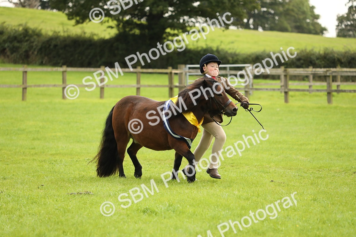 SBM_75420 - Equitation Supreme Championship