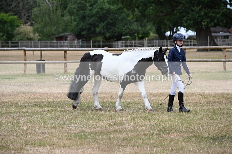 WJ6_4571 - Class 10 Coloured In-hand
