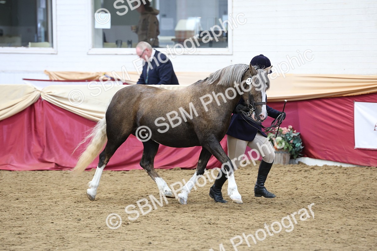 SBM_24086 - Class 905 - Supreme Final - Ridden Veteran