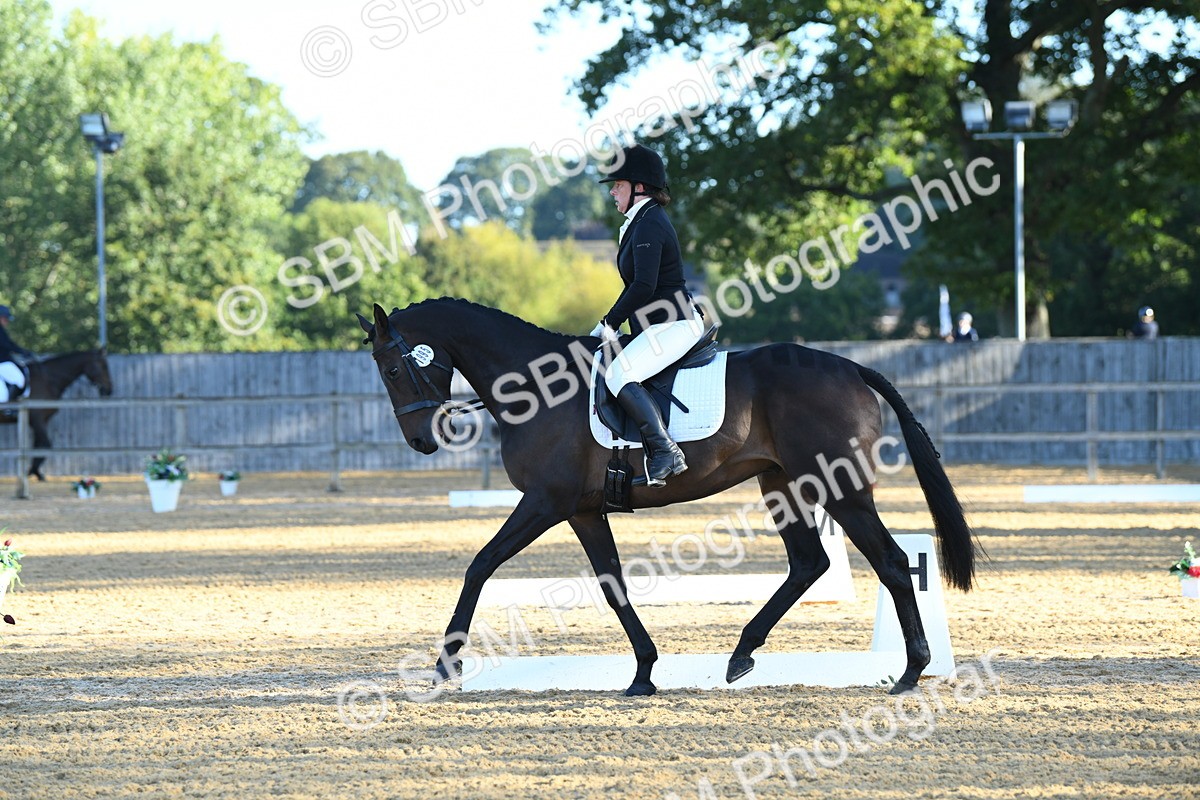 SBM_14406 - D4 - Small Tour Championship - Intro B