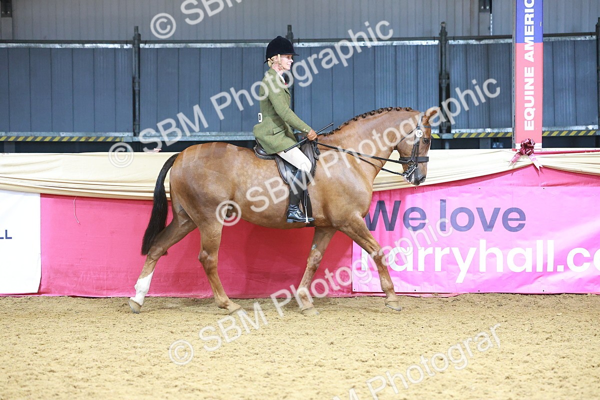 SBM_12398 - Class 103 - HOYS Veteran Qualifier - Ridden Pre Vet